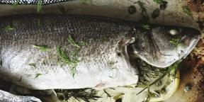 7 ciekawych potraw z ryb z Gordon Ramsay