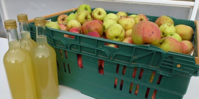 Jak gotować jabłkowy cydr w domu: łatwy przepis