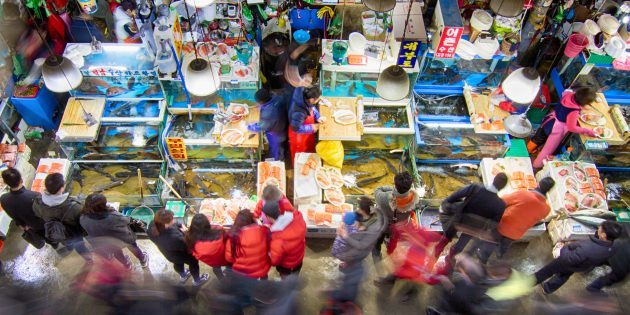 Atrakcje Korea Południowa: konieczne jest, aby odwiedzić targ rybny