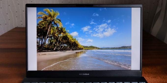 Ekran ASUS ZenBook 13 UX325