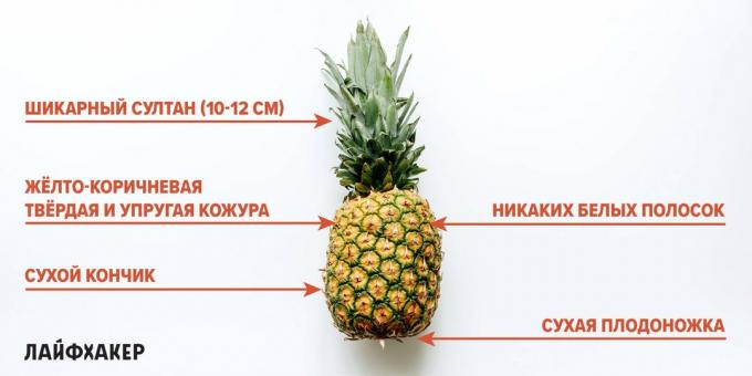 Jak wybrać ananasa: oznaki dojrzałego ananasa